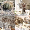 thumbnail image 5 of 30 Stems Dried Pampas Grass, Pampas Grass Fluffy Pampas ,17 Inch Bulk Pampas Grass Decor Flowers Dr, 5 of 5