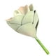 thumbnail image 5 of Flor suculenta artificial Oficina en casa Decoración de plantas suculentas falsas Decoración floral EVA, Mediana, Verde rosa Inevent HA6992-02B, 5 of 6