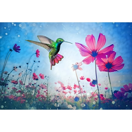 Adobe - Photoshop Elements 2024 & Premiere Elements 2024 Student Teacher Edition - Windows [Digital]