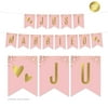 Blush Pink and Metallic Gold Confetti Polka Dots, Hanging Pennant Party Banner with String, Just Married, 5-Feet, 1 Set