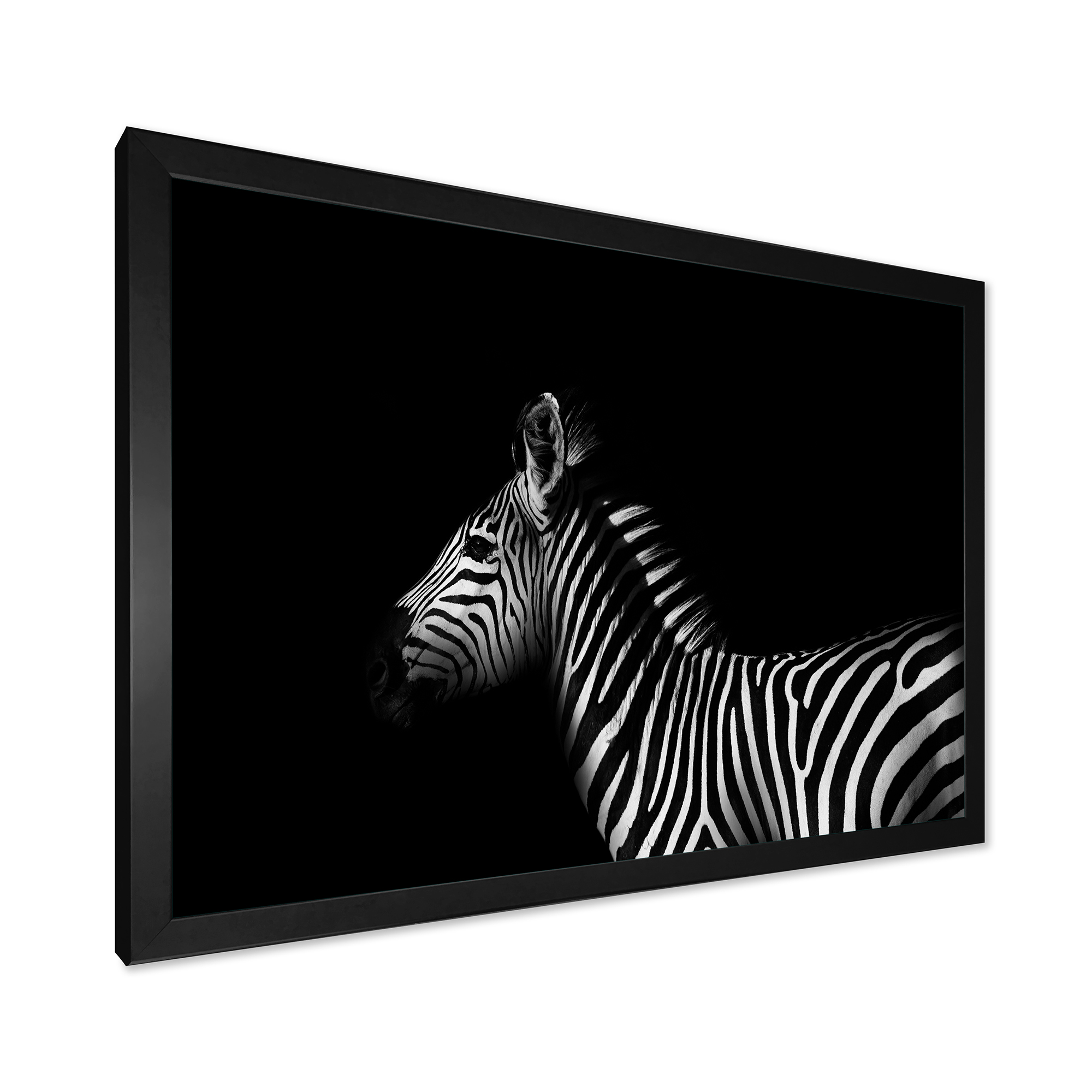 Designart 'Sideview Of Zebra In White and Black' Farmhouse Framed Art Print