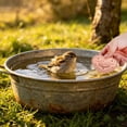 thumbnail image 4 of Outdor 1Pcs Bird Bath Disc Pure Copper Bird Bath Purification Disk 4Inch 0.7MM Thick Self Cleaning Design For Clean Water All Year Disks For Outdoor Birdbaths Bowls Founta, 4 of 5