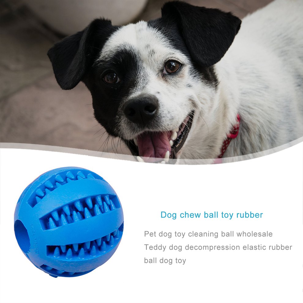 dog teeth cleaning ball