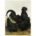 thumbnail image 2 of Harrison Weir 19x24 Black Ornate Framed Double Matted Museum Art Print Titled: Creve Cour (1867), 2 of 5