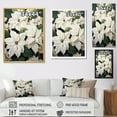 thumbnail image 4 of Designart "Serenade Of Wild White Poinsettia I" Poinsettias Floater Framed Wall Art Living Room, 4 of 5