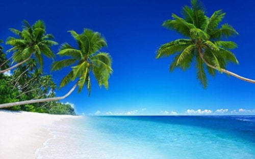 PALM TREES LIFESTYLE PARADISE POSTER PICTURE PRINT Size A5 to A0 **NEW** 