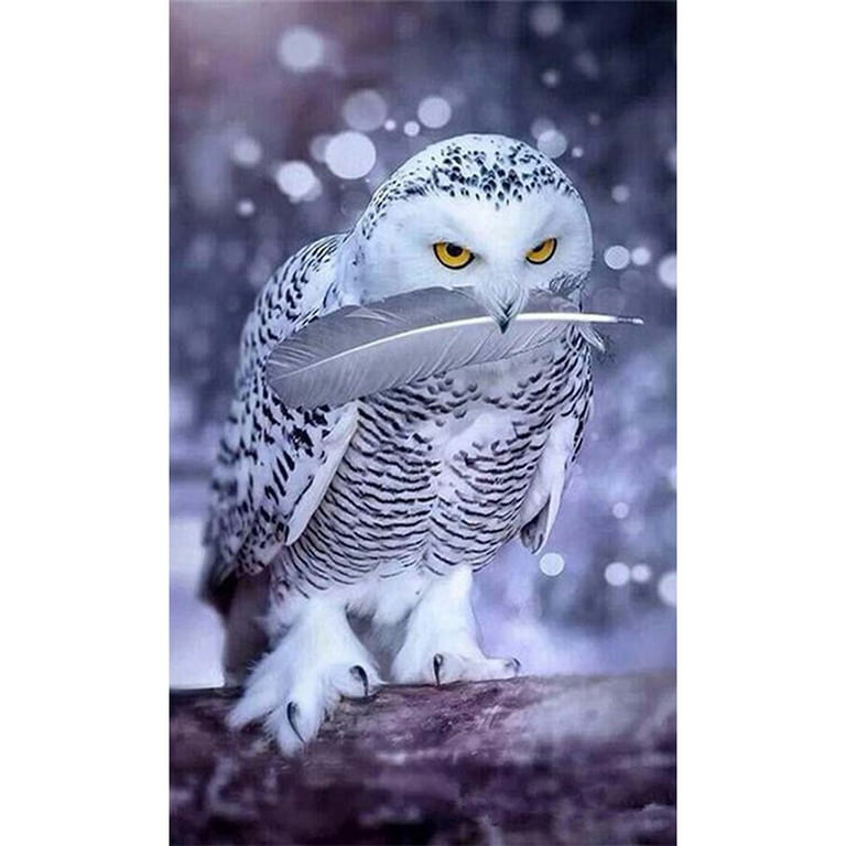 Snow White Owl Feather DIY 5D Rhinestones Diamond Painting Animal Full  Layout Winter Craft Cross Stitch Resin Needlework 