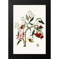 thumbnail image 2 of Jensen, Asia 17x24 Black Modern Framed Museum Art Print Titled - New Botana II, 2 of 5