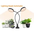 thumbnail image 4 of USB Plant Grow Light 156 LEDs Sunlight Full Spectrum Adjustable Desktop Clamp Growing Lamp for Indoor Plants 5 Dimmable Levels 4/8/12H Timer, 4 of 4