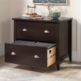 thumbnail image 4 of Pemberly Row Engineered Wood Lateral File in Cinnamon Cherry, 4 of 11