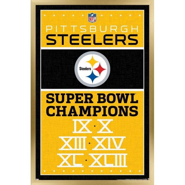 NFL Pittsburgh Steelers - Champions 13