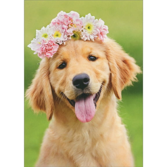Avanti Press Golden Retriever Wearing Flower Crown Cute Dog Blank Note Card
