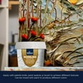 thumbnail image 5 of Bluebird Professional Thick Modeling Paste 5.3 Oz / 150GM - High Density, Acrylic Medium - for Texture and Thickness, Dimension Additive, 5 of 5