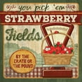 thumbnail image 2 of Mollie B. 15x15 White Modern Wood Framed Museum Art Print Titled - You Pick Em Strawberries, 2 of 4