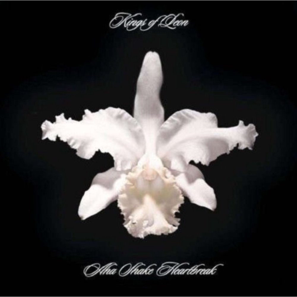 Kings of Leon AHA SHAKE HEARTBREAK Vinyl