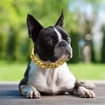 thumbnail image 2 of EeaseMX Collar de metal para mascotas, cadena dorada, moderno y atractivo colgante, accesorio de fotos para gatos y perros pequeños (dorado), 2 of 8