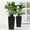 Black, variant on Olurrisa Set of 2 Black Square Planters 22-Inch, Faux Rattan Design with Automatic Watering System, Self-Watering Flower Pots for Indoor Outdoor Use, Patio and Garden