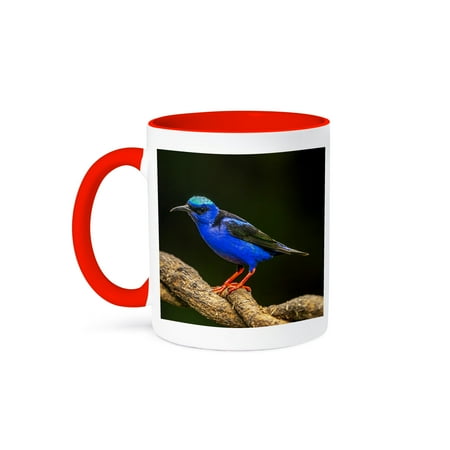 

3dRose Costa Rica. Male red-legged honeycreeper on stem. 15oz Two-Tone Red Mug