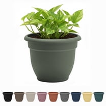 Bloem Ariana 20" Basil Round Self-Watering Resin Planter Pot - Rolled Rim Indoor and Outdoor Gardening Planter