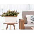 thumbnail image 2 of Maceta para plantas herbáceas con autorriego T4u de 27 cm con sistema de riego auxiliar, cuadrada, para cocina, balcón, alféizar de ventana, color marrón, 2 of 5
