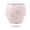 N, variant on RTKFRFLM Baby Reusable Potty Training Underwear Absorbent Cotton Learning Pants L 12-24 Months