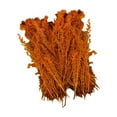 thumbnail image 4 of segolike Arbres Miniatures 1/72 1/35 Arbres Modèle Chemin de Fer Diorama Paysage Rouge Brun, 4 of 9
