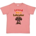 thumbnail image 3 of Inktastic Labrador Chocolate Lab Boys or Girls Toddler T-Shirt, 3 of 5