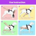thumbnail image 3 of PoyPet Dog Harness No Pull, Adjustable Soft Padded Pet Vest, No Choke Reflective Front Dog Harness, Purple m, 3 of 9