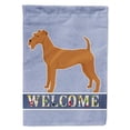 thumbnail image 1 of Carolines Treasures CK3605GF Irish Terrier Welcome Garden Size Flag, 1 of 3