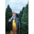 thumbnail image 4 of Real Christmas Trees Delivered 7 Foot Premium Balsam Fir Christmas Tree, 4 of 8