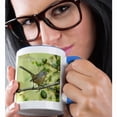 thumbnail image 2 of 3drose, California, Santa Monica Mountains, Wrentit Bird - Us05 Bja0228 - Jaynes Gallery, 15oz Two-tone Blue Mug, 2 of 6