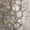 Ivory, variant on Addison Rugs Dream Shag Premium Machine Washable Transitional Abstract Aloe Rectangle Rug, 10' x 14'