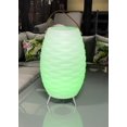 thumbnail image 3 of Dura Vegas LED Ice Bucket Light, 3 of 3