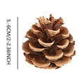 thumbnail image 3 of 18 Natural Pinecones 2-2.36 Inches for Rustic Fall Decor Ornaments Garland Wreath Craft Supplies, 3 of 6