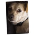 thumbnail image 2 of Gango Home Decor Second Glance by Karyn Millet (Ready to Hang); One 24x36in Hand-Stretched Canvas, 2 of 4