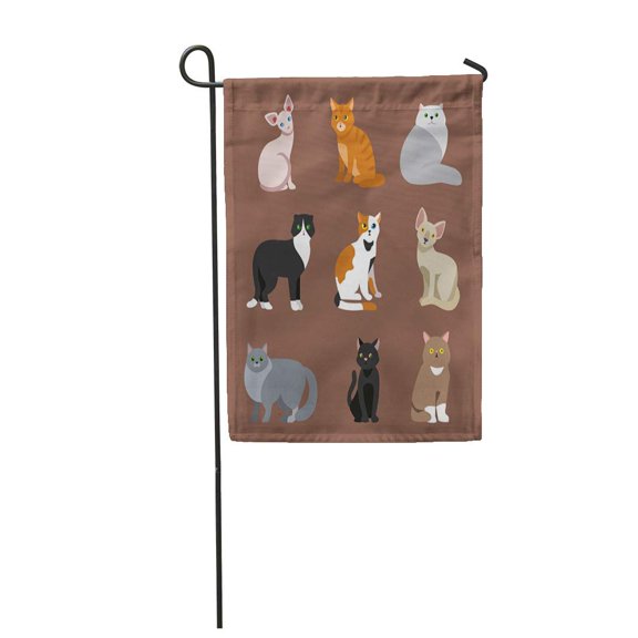 SIDONKU Cat Breed Cute Pet Portrait Fluffy Young Adorable Cartoon and Pretty Fun Play Garden Flag Decorative Flag House Banner 28x40 inch