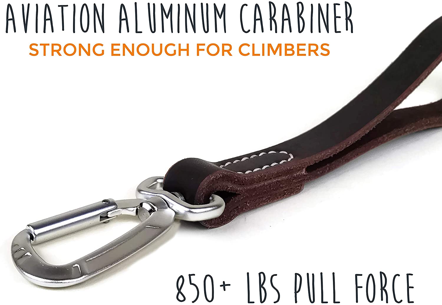 carabiner clip dog leash
