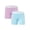 Cool Violet, variant on INNERSY Plus Size Womens Boxer Briefs Modal 5" Boxers High-Waisted light Underwear 2 Pack(3XL,Night Red)