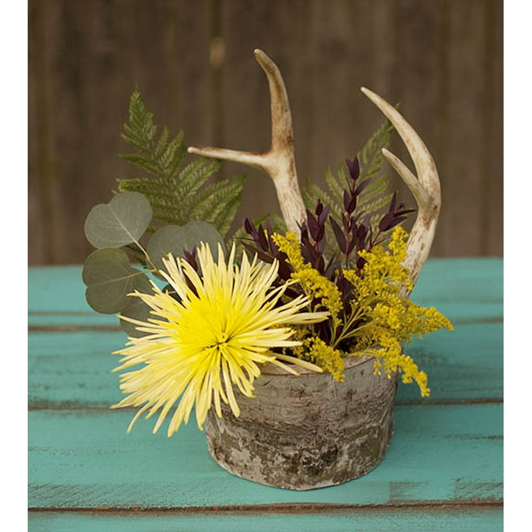 Deer Antler Flower Arrangements | Best Flower Site