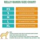 thumbnail image 5 of Pañales lavables para perros – Envoltura abdominal lavable para perros machos – Paquete de 3, 5 of 5