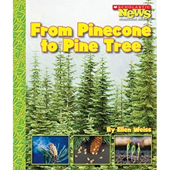Pre-Owned From Pinecone to Pine Tree (Scholastic News Nonfiction Readers: How Things Grow) (Paperback) 053118790X 9780531187906