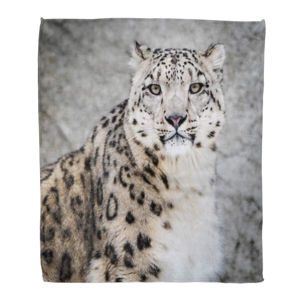 LADDKE Throw Blanket 50x60 Inches Frontal Portrait of Snow Leopard in