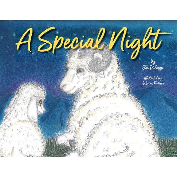 A Special Night, (Paperback)