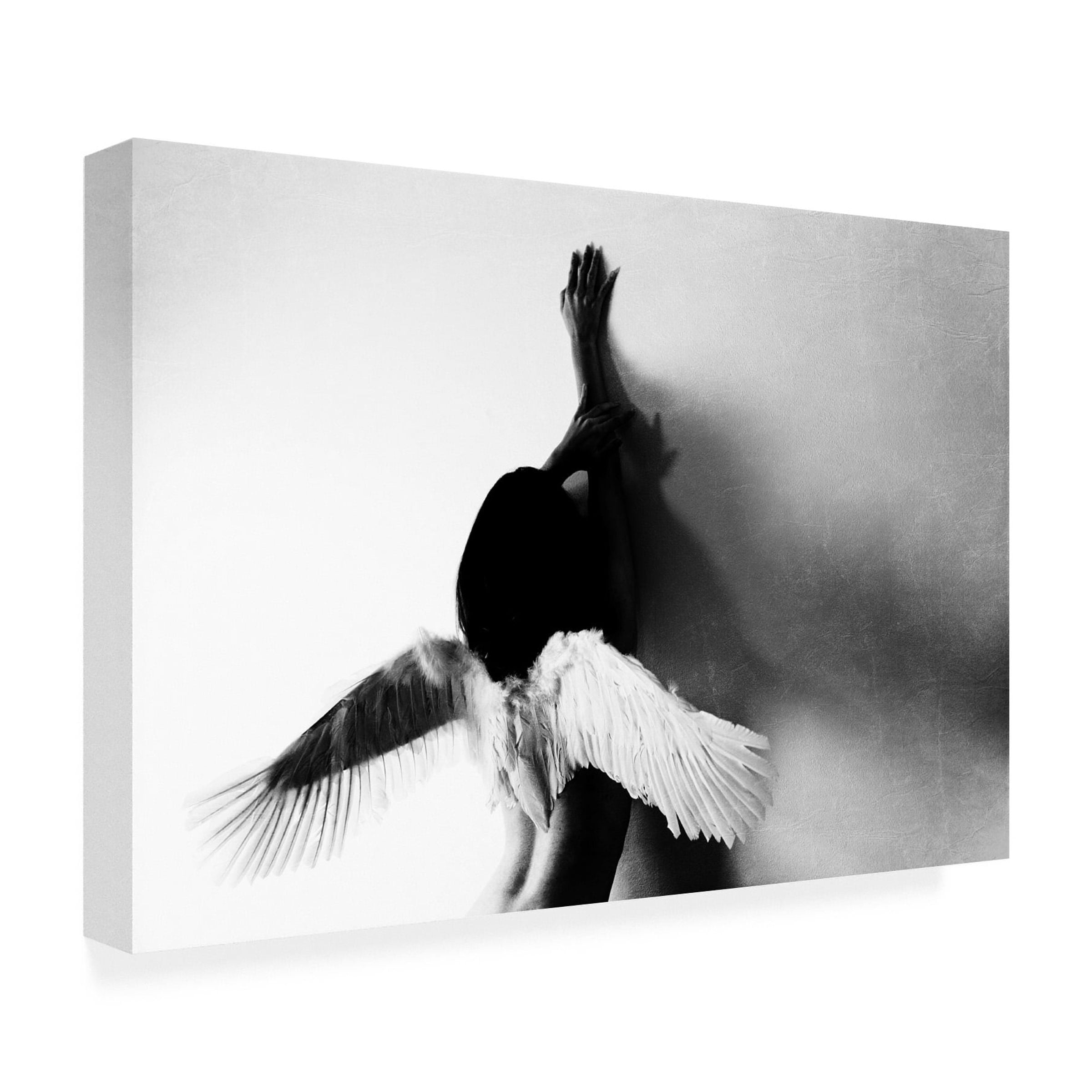 Keisuke Ikeda 'Not Fly' Canvas Art