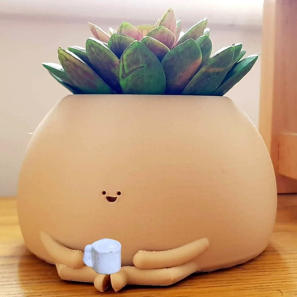 Macetas bonitas de 4/5 pulgadas, macetero de flores de mesa para el hogar, Cactus suculento