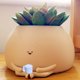 thumbnail image 1 of Macetas bonitas de 4/5 pulgadas, macetero de flores de mesa para el hogar, Cactus suculento, 1 of 8