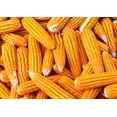 thumbnail image 7 of Organic Yellow Popcorn, 2 Pounds — Non-GMO, Vegan, Raw — by Food to Live, 7 of 7