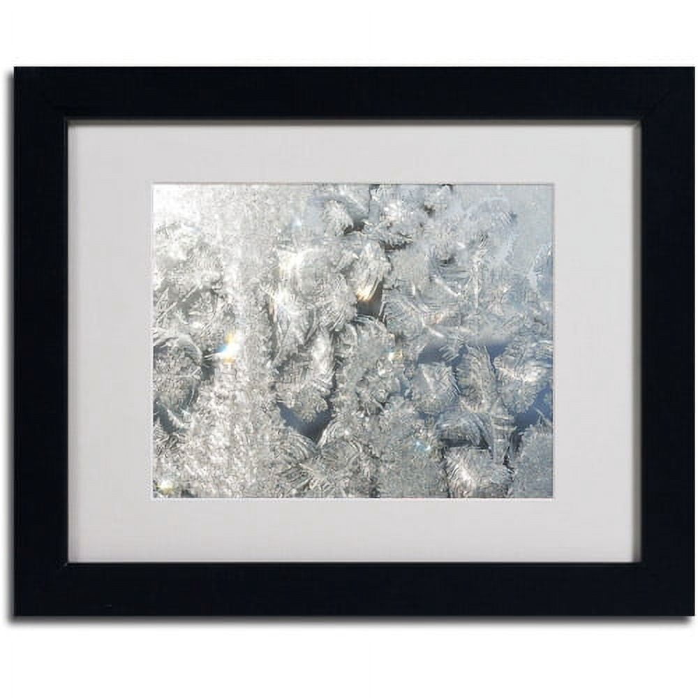 Trademark Fine Art "Frost Pattern in the Sun" Canvas Art by Kurt Shaffer, Black Frame