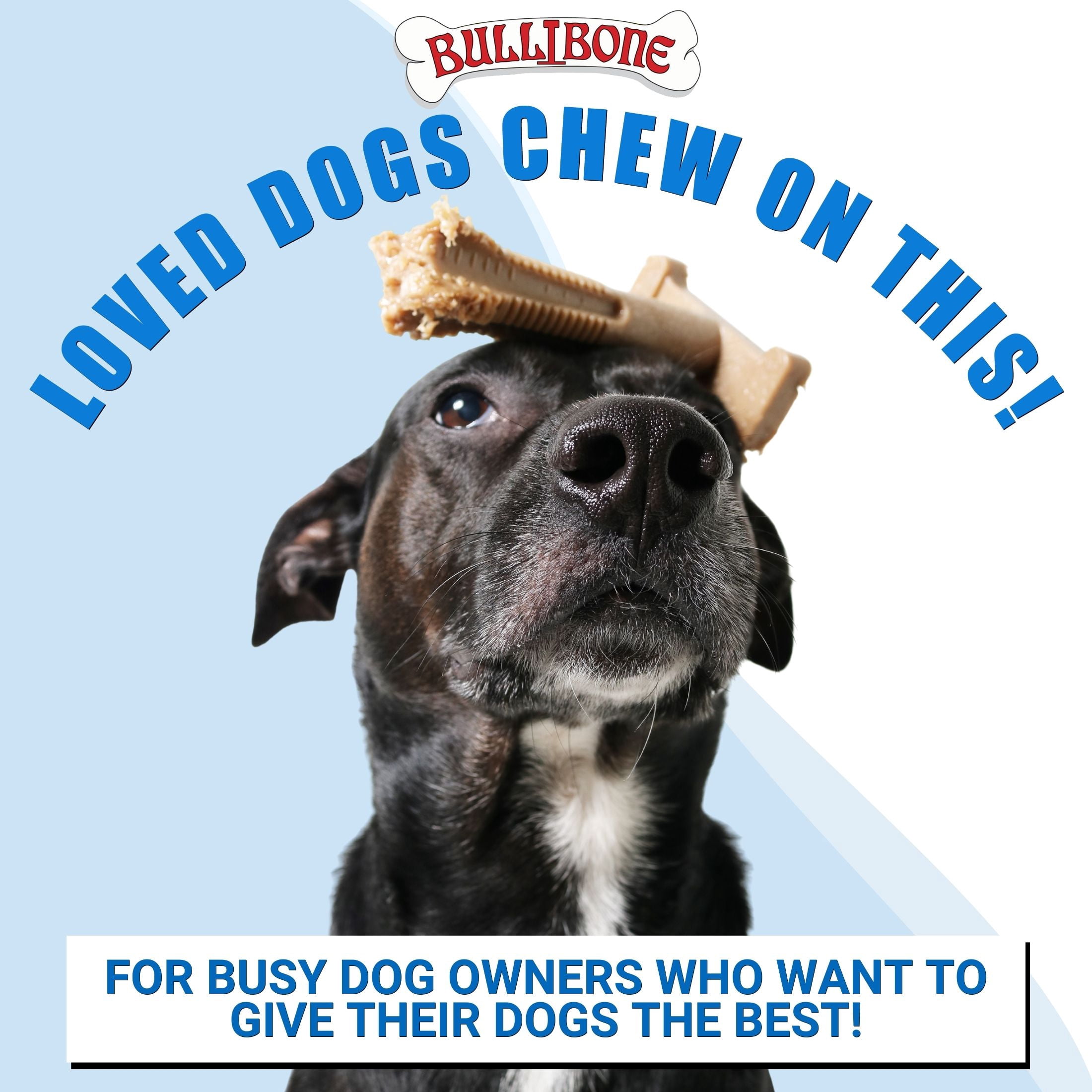 Bullibone Smokey Bacon Superbrush Dog Dental Bone – Charcoal-Infused Nylon Chew Toy with Baking Soda, Durable Dog Teeth Cleaner for Aggressive Chewers, Made in USA - Small 3 Pack