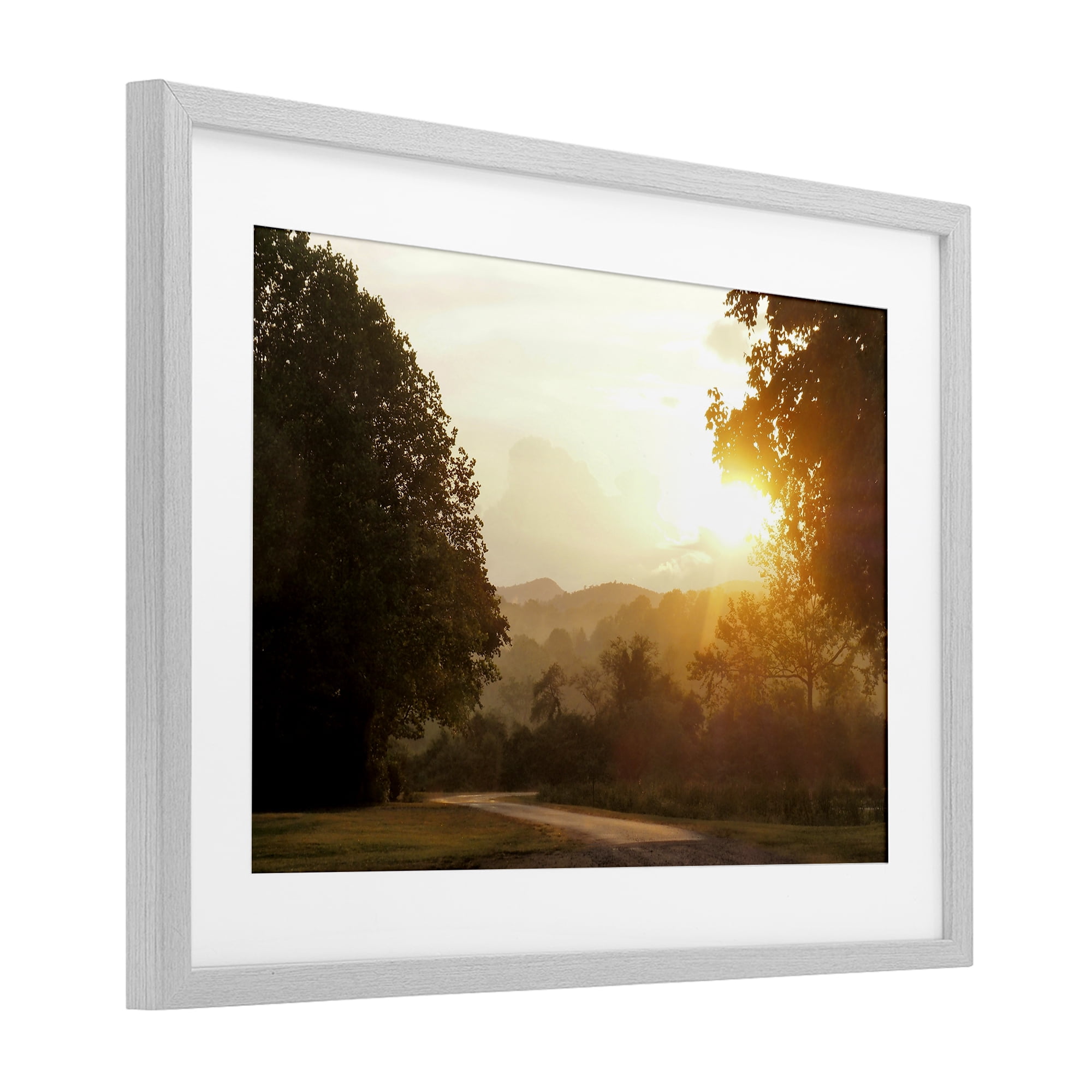 Stupell Industries Golden Morning Between Trees Gray Framed Print Under Glass, design by Gail Peck